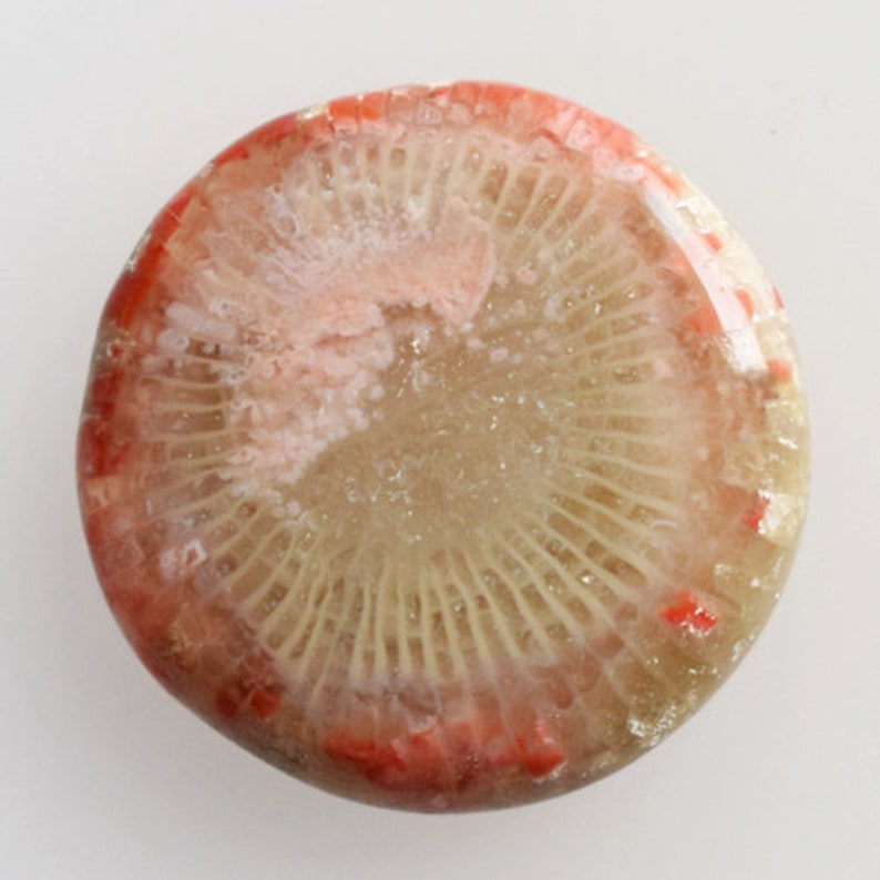 Size 20x20x4 MM Jewellery Making Stone Crafts Suppliers New Arrivals Red Horn Coral Round Cabochon Stone From Utah Pendant Stone 13257