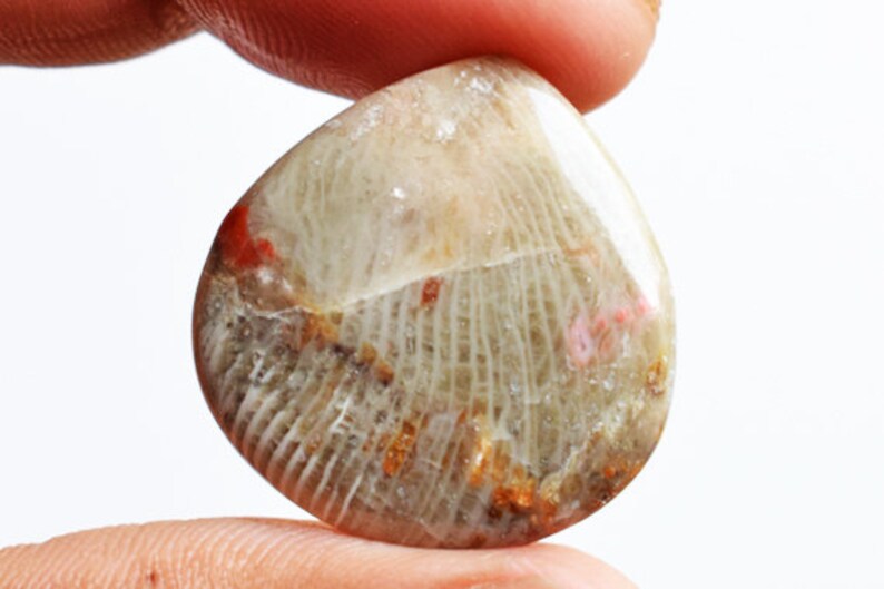 Affordable Price Natural Red Horn Coral Cabochon Crafts Pendant Stone 14030 Jewellery Making Size 23x22x3.5 MM Loose Gemstone Suppliers