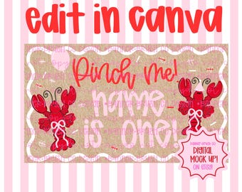 Pinch Me I’m One Crawfish Boil Birthday | Editable Canva Banner | 35x60 DIY Painted Sign | Preppy Coquette theme | Digital Download