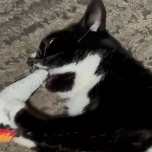 Juguete para gatos con hierba gatera &#39;Joint&#39;