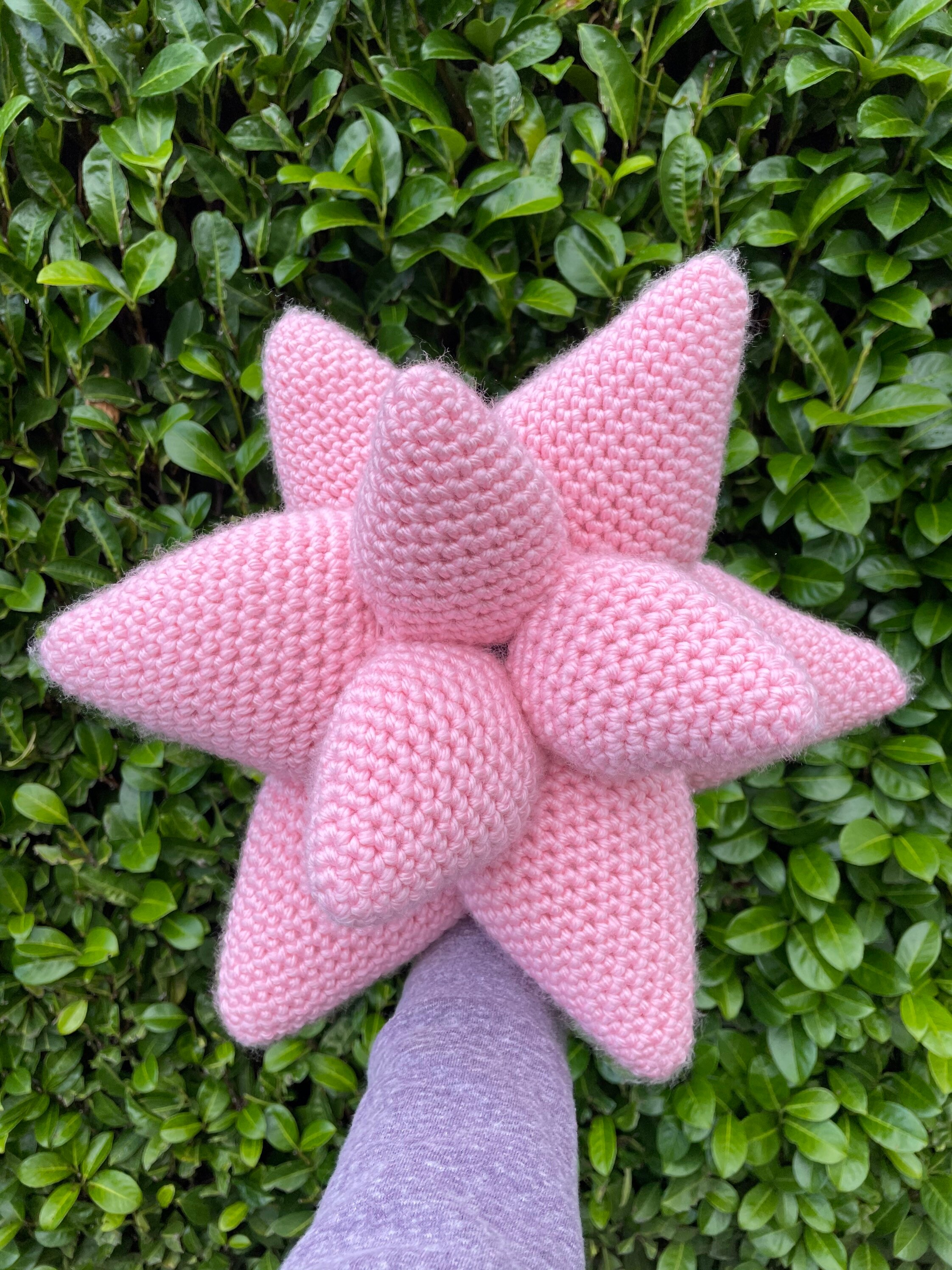 Crochet Succulent Pillow Decorative Pillow Etsy