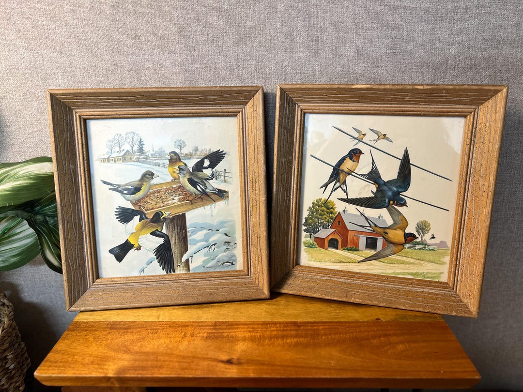 Vintage Wooden Professionally Framed Botanical Bird Prints Wall Art Set ...