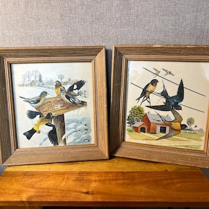 May include: Two framed vintage bird prints. One features goldfinches at a bird feeder in a snowy landscape. The other depicts swallows perched on wires and flying near a red barn. Both are in wooden frames.