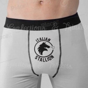 Italian Stallion Naughty but Practical Boxer Briefs