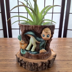 May include: A ceramic planter shaped like a tree stump with a whimsical elf peeking out. The planter is decorated with green, brown, and yellow paint. A green succulent plant is growing in the planter.