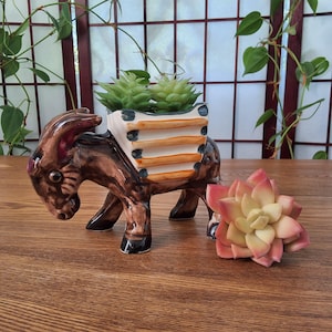 Peut inclure: Pot de fleurs en céramique en forme d'âne, verni marron et noir, portant une charrette blanche et beige remplie de deux succulentes vertes. Une succulente rose et jaune est posée à côté. Décoration d'intérieur.