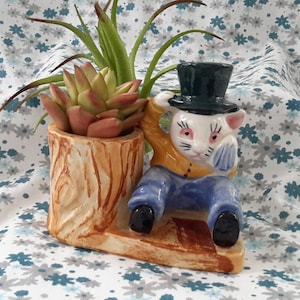 Peut inclure: Un pot en céramique en forme de chat portant un chapeau haut de forme et assis sur une bûche. Le pot contient une plante succulente aux feuilles vertes et roses.