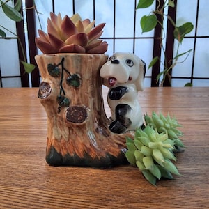 Peut inclure: Un pot de fleurs en céramique en forme de souche d'arbre avec une figurine de chien. Le pot contient une plante succulente aux feuilles brun rougeâtre. Le chien est blanc avec des taches noires et s'appuie contre la souche.