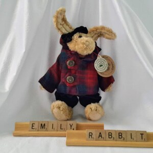 Peut inclure: Un lapin en peluche brun portant une veste en plaid rouge et noir, un pantalon noir et un cache-œil noir. Le lapin est debout sur une surface en bois avec les mots "EMILY" et "RABBIT" écrits en lettres de bois.