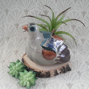 Peut inclure: Une figurine d'oiseau en céramique peinte à la main avec des accents bleus, orange et bruns. L'oiseau est assis sur une base en bois et a une plante succulente verte qui pousse sur son dos.