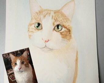 Cat portrait, Custom Cat portrait, Cute cat portait, Personalized Cat portrait, Pet Portrait Custom, Cat lover gift, Cat Art Print 8 x 10