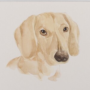 Custom pet portrait, Custom Portrait, Pet portrait, dog portrait, Custom pet painting, Animal painting, Watercolor Original Painting