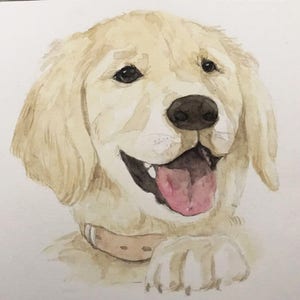 Dog Painting Custom, Pet Portrait, Pet Painting, Custom Dog Portrait, Dog Art Print, From Photograph, Pet Lover Gift, Memorial Pet Portrait