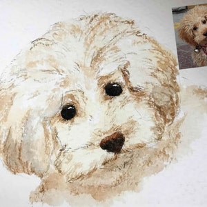 May include: Watercolor painting of a small, white dog with brown eyes. The dog is looking at the viewer with a sweet expression. The painting is done in a realistic style and captures the dog's soft fur and gentle features.