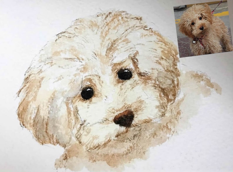 May include: Watercolor painting of a small, white dog with brown eyes. The dog is looking at the viewer with a sweet expression. The painting is done in a realistic style and captures the dog's soft fur and gentle features.