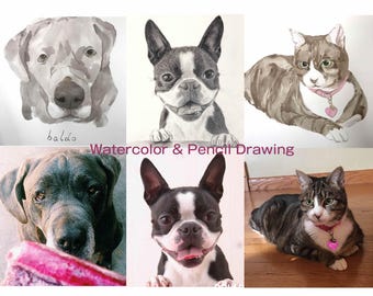 Custom Pet Painting Cat Custom Pet Drawing Cat Portrait Custom Pet Portrait Drawing Dog Painting Pet Portrait Painting Cat Dog Portraits Art