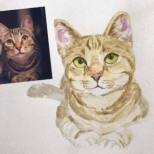 May include: A watercolour painting of a tabby cat with green eyes. The cat is looking directly at the viewer with a relaxed expression. The painting is done in shades of brown, beige, and white.