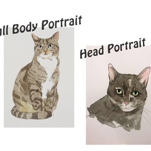 May include: Two watercolor paintings of a tabby cat. The first painting shows the cat's full body, sitting with its front paws tucked in. The second painting shows a close-up of the cat's head. Both paintings are on white paper with a light gray background.