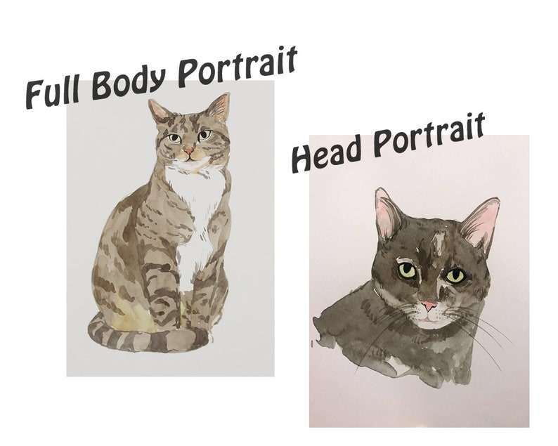 May include: Two watercolor paintings of a tabby cat. The first painting shows the cat's full body, sitting with its front paws tucked in. The second painting shows a close-up of the cat's head. Both paintings are on white paper with a light gray background.