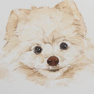 Custom Pet Portrait Watercolor Sketch Pet Portrait Custom Watercolor Pet Portrait Painting Watercolor Pet Painting Custom Portrait Pet Dog image 6