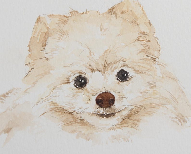 Custom Pet Portrait Watercolor Sketch Pet Portrait Custom Watercolor Pet Portrait Painting Watercolor Pet Painting Custom Portrait Pet Dog image 6