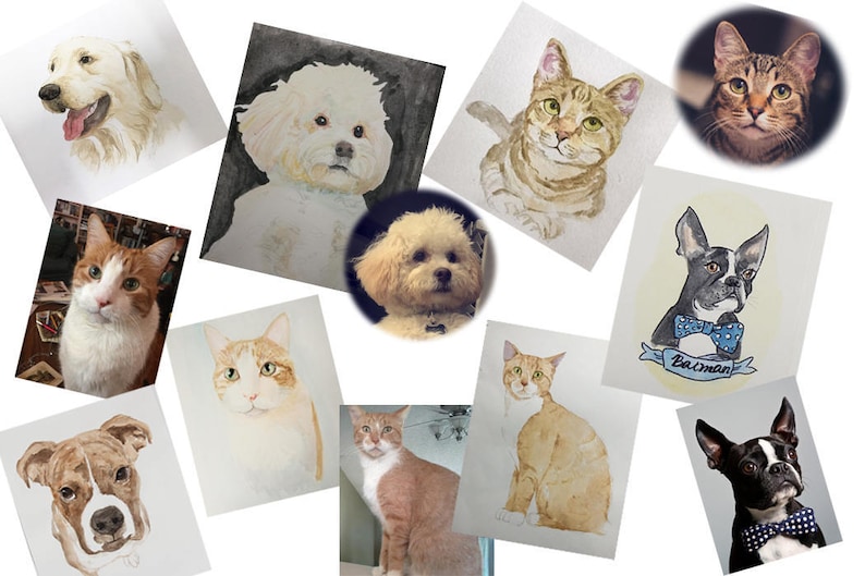 May include: A collection of watercolour paintings of various pets, including dogs and cats. The paintings are framed and displayed on a white background.