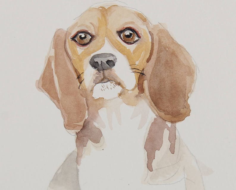 Custom Pet Portrait Watercolor Sketch Pet Portrait Custom Watercolor Pet Portrait Painting Watercolor Pet Painting Custom Portrait Pet Dog image 5