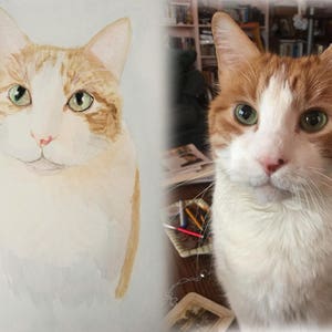 K&ouml;nnte beinhalten: Ein Aquarellbild einer wei&szlig;-orangen Tabby-Katze mit gr&uuml;nen Augen. Die Katze schaut direkt auf den Betrachter.