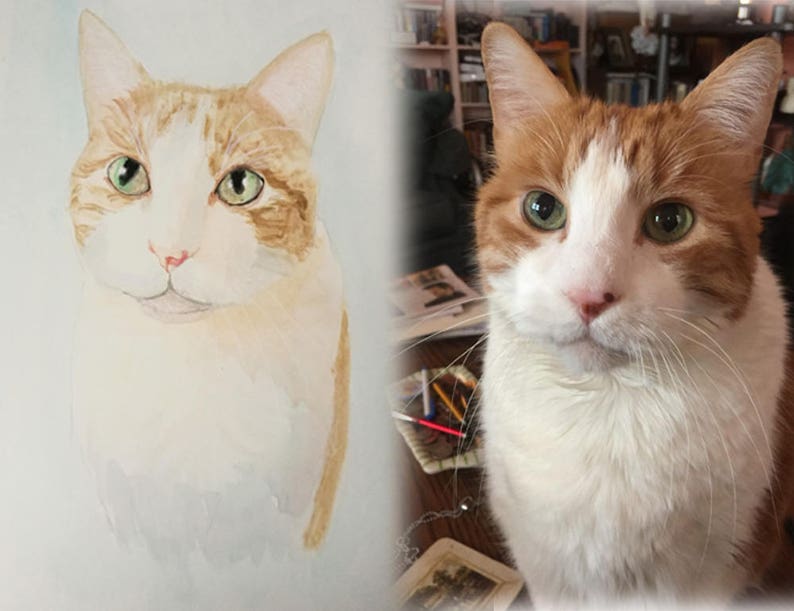 K&ouml;nnte beinhalten: Ein Aquarellbild einer wei&szlig;-orangen Tabby-Katze mit gr&uuml;nen Augen. Die Katze schaut direkt auf den Betrachter.