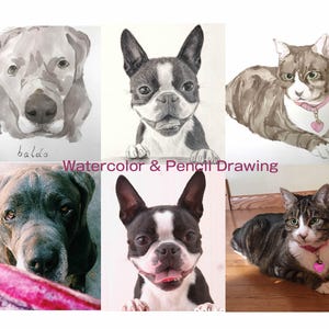 K&ouml;nnte beinhalten: Eine Collage aus Aquarell- und Bleistiftzeichnungen von Haustieren. Die obere Reihe zeigt einen grauen Hund, einen schwarz-wei&szlig;en Boston Terrier und eine braune getigerte Katze. Die untere Reihe zeigt einen schwarzen Hund, einen schwarz-wei&szlig;en Boston Terrier und eine graue getigerte Katze.