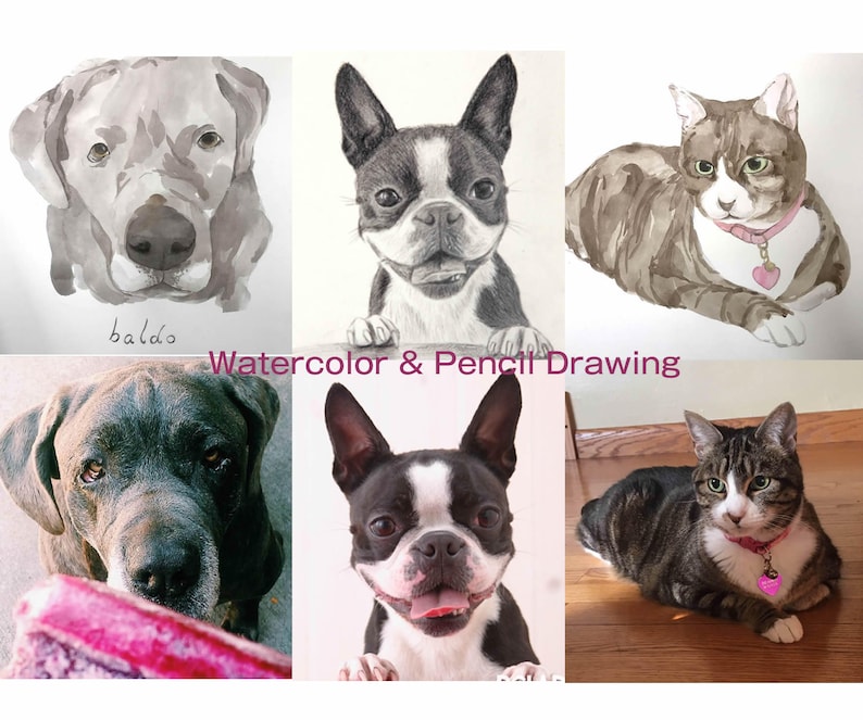 K&ouml;nnte beinhalten: Eine Collage aus Aquarell- und Bleistiftzeichnungen von Haustieren. Die obere Reihe zeigt einen grauen Hund, einen schwarz-wei&szlig;en Boston Terrier und eine braune getigerte Katze. Die untere Reihe zeigt einen schwarzen Hund, einen schwarz-wei&szlig;en Boston Terrier und eine graue getigerte Katze.