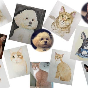 K&ouml;nnte beinhalten: Eine Sammlung von Aquarellbildern verschiedener Haustiere, darunter Hunde und Katzen. Die Bilder sind gerahmt und auf wei&szlig;em Hintergrund ausgestellt.