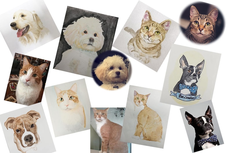 K&ouml;nnte beinhalten: Eine Sammlung von Aquarellbildern verschiedener Haustiere, darunter Hunde und Katzen. Die Bilder sind gerahmt und auf wei&szlig;em Hintergrund ausgestellt.