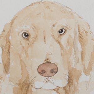 Custom Pet Portrait Watercolor Sketch Pet Portrait Custom Watercolor Pet Portrait Painting Watercolor Pet Painting Custom Portrait Pet Dog image 8