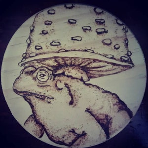 Toad and mushroom coaster set