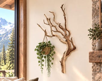 Large 31" sandblasted Baobab branch,driftwood wall art,Driftwood sculpture,drift wood, wood wall art,Drift wood wall art, Air plants diplay