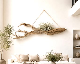 Large 58" Inches Ghost tree branch, Sculpture,Sandblasted Natural Driftwood Art, Drift wood wall art, One of a kind, pure by power of nature