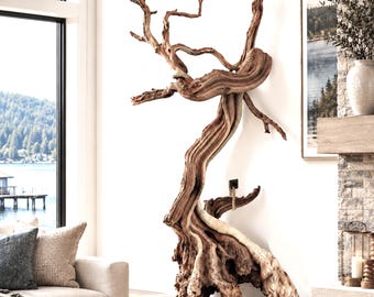Striking! High-End Natural wood sculpture, Large,sandblasted Baobab tree with root, driftwood wall art, drift wood, One of a kind, Statement