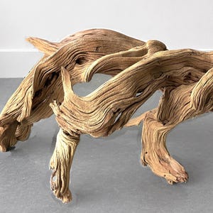 Op de afbeelding: Een lichtbruine drijfhoutsculptuur met gedetailleerde nerfpatronen. Het hout heeft een verweerde uitstraling, met meerdere takken en bochten, waardoor een uniek decoratief stuk ontstaat. De sculptuur is een natuurlijke, organische vorm.