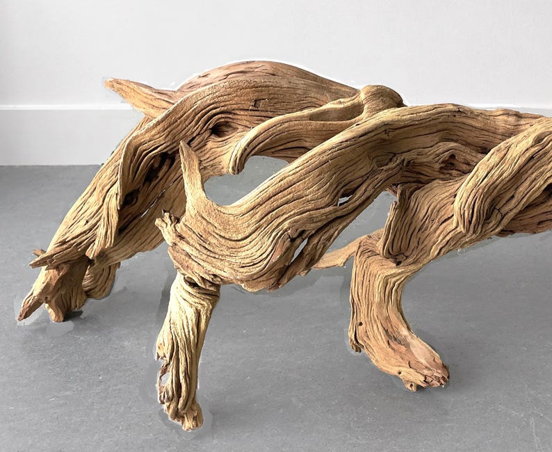 Op de afbeelding: Een lichtbruine drijfhoutsculptuur met gedetailleerde nerfpatronen. Het hout heeft een verweerde uitstraling, met meerdere takken en bochten, waardoor een uniek decoratief stuk ontstaat. De sculptuur is een natuurlijke, organische vorm.