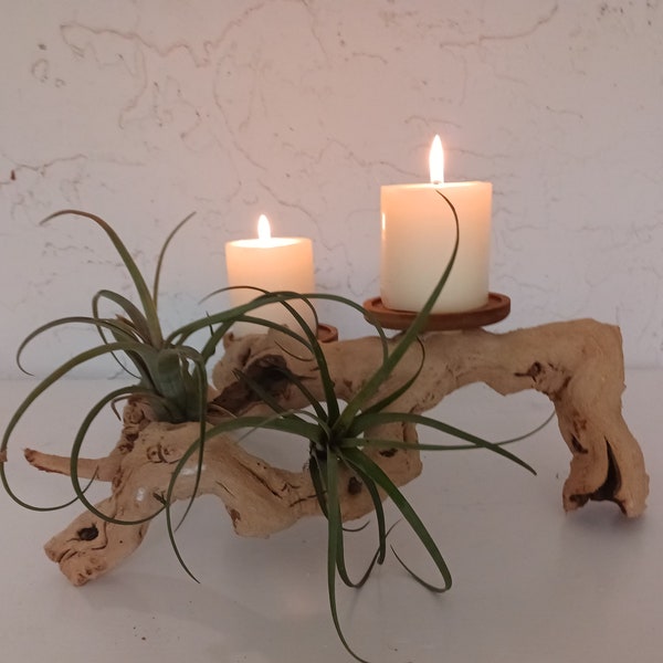 Natural driftwood candelabra, air plant display, Wood candleholder, wood candle holder, wood sculpture, centerpiece, driftwood candleholder
