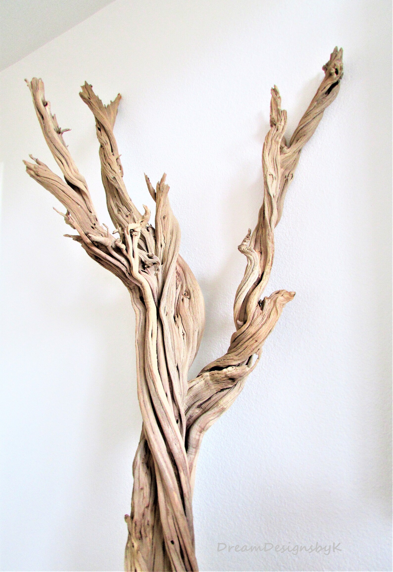 Striking 68 Extra Large natural ghost treeGhost wood Etsy