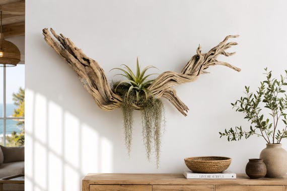 42" Large Driftwood wall art,Air plant display,shelf,Natural Ghost wood,wood wall hanging,coastal wall decor,one of-a-kind Tree Branch Decor