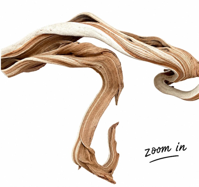 May include: A piece of driftwood with a twisted, organic shape featuring layered textures in shades of light tan, medium brown, and cream. The wood grain is visible throughout the surface, showing natural curves and elongated, flowing lines.