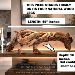 Op de afbeelding: Een natuurlijke drijfhoutsculptuur, 114 cm lang en 33 cm hoog, staat op een plank. Het stuk, met zijn vier natuurlijke houten poten, heeft een diepte van 42 cm en is geschikt voor een plank van 38 cm of meer. De sculptuur is een statement piece.