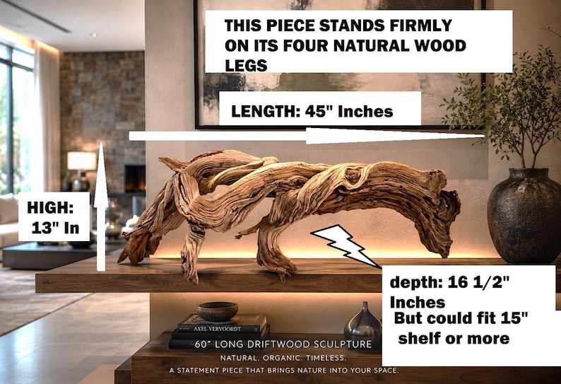 Op de afbeelding: Een natuurlijke drijfhoutsculptuur, 114 cm lang en 33 cm hoog, staat op een plank. Het stuk, met zijn vier natuurlijke houten poten, heeft een diepte van 42 cm en is geschikt voor een plank van 38 cm of meer. De sculptuur is een statement piece.