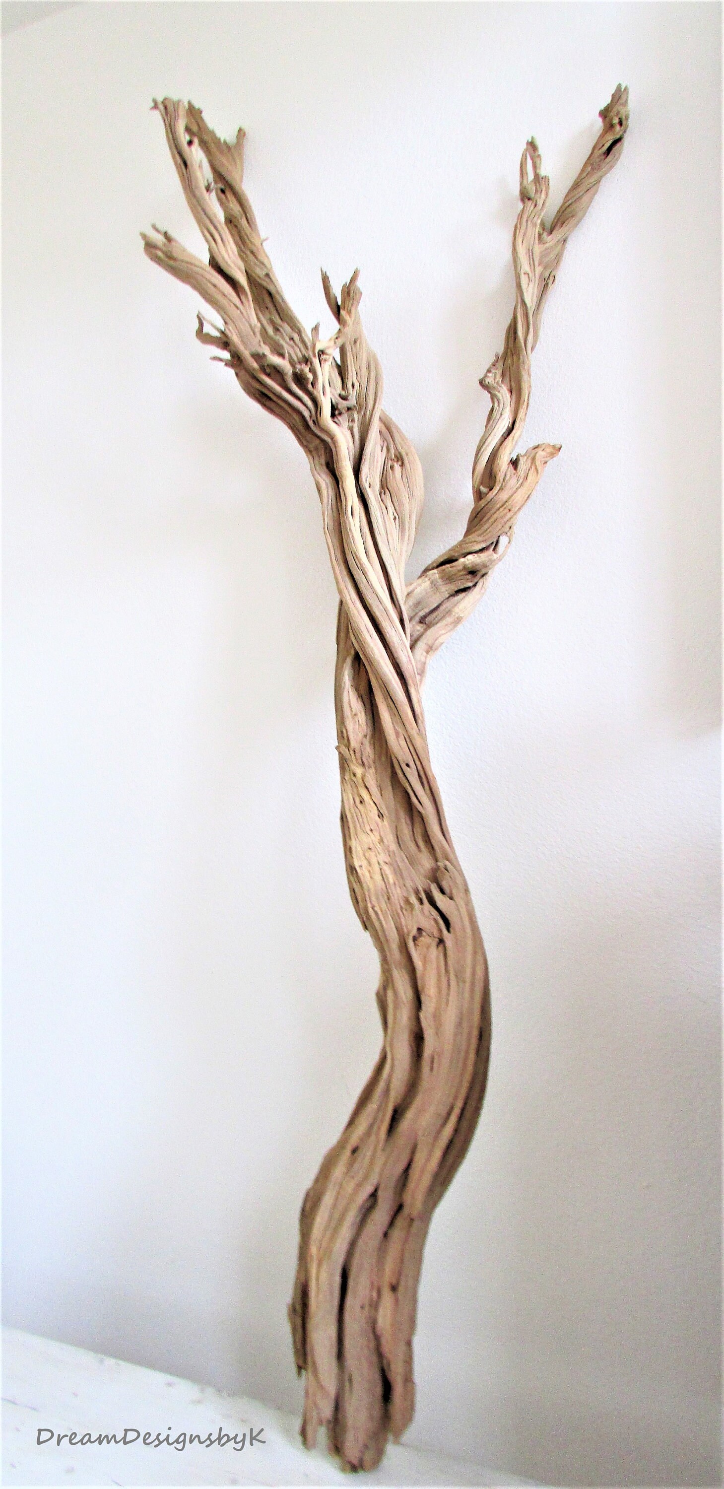 Striking 68 Extra Large natural ghost treeGhost wood Etsy