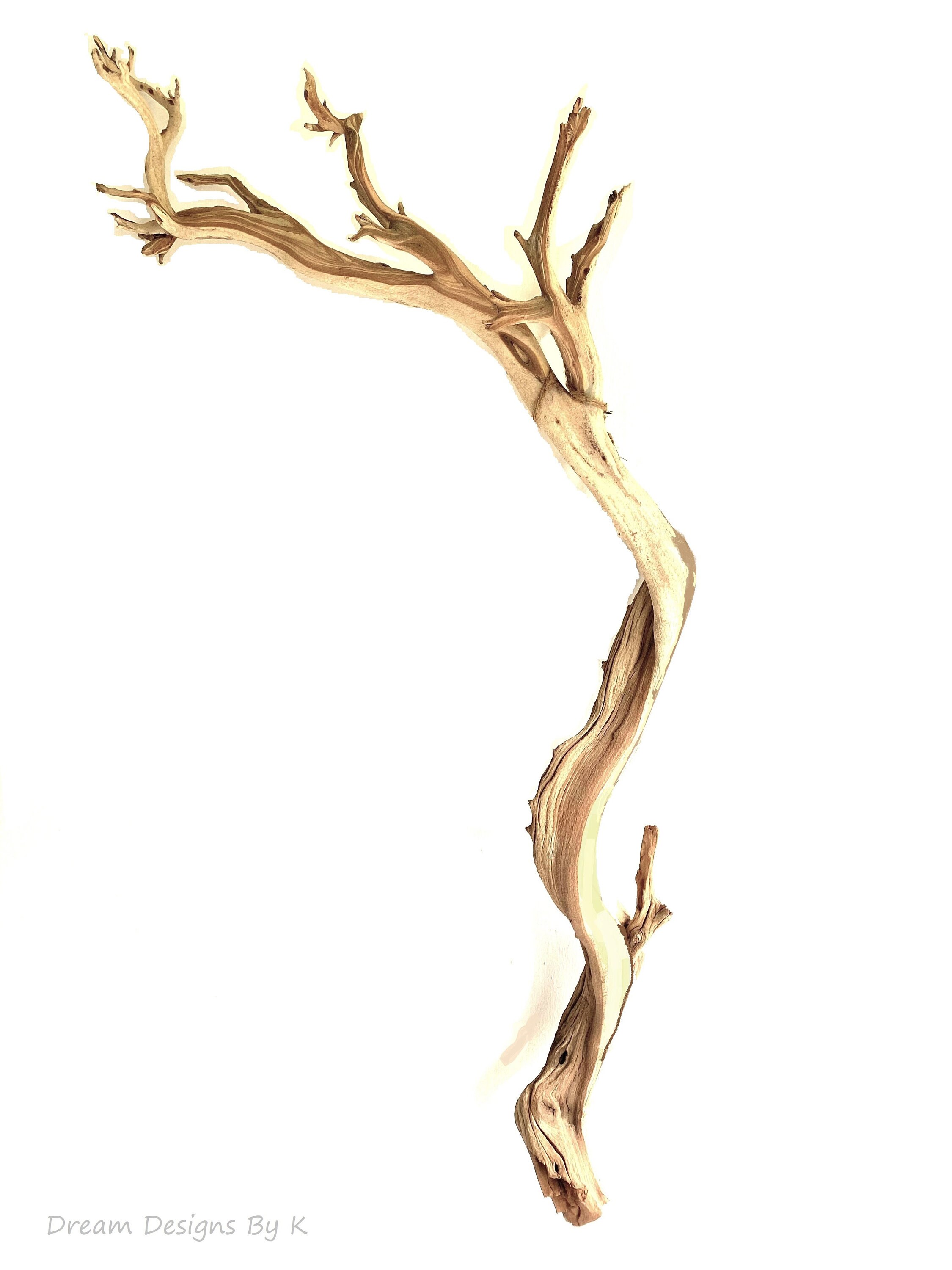 Exotic 54 Large Driftwood Sculpture Driftwood Wall Etsy