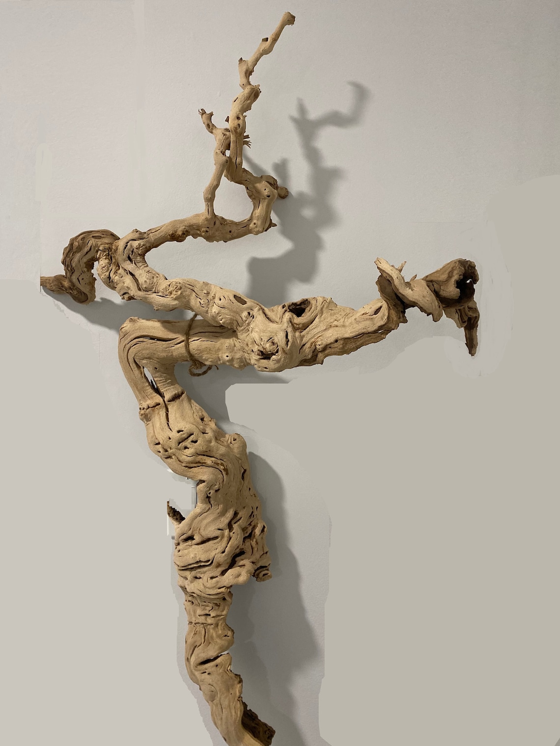 52 Driftwood Wall Art Natural Tree Root Drift Wood Etsy