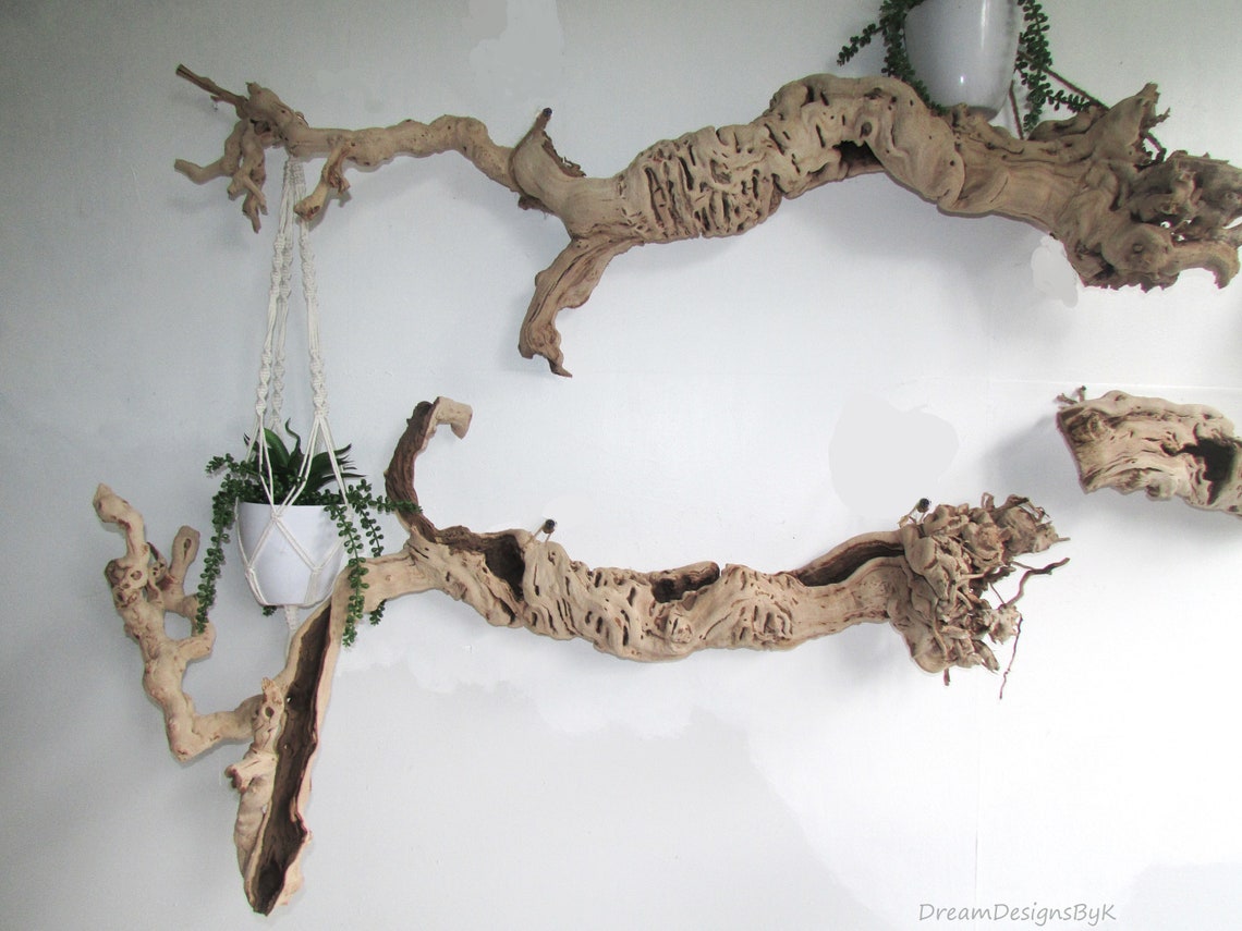 Set of 3 Naturals Tree Roots Driftwood Wall Art Tree Root Etsy